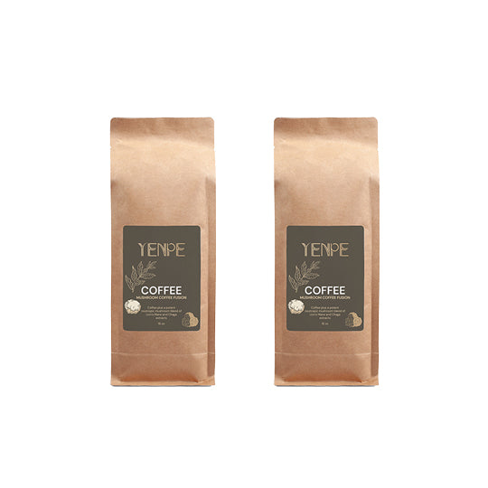 Mushroom Coffee Fusion - Lion’s Mane & Chaga 16oz (454gms)