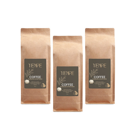 Mushroom Coffee Fusion - Lion’s Mane & Chaga 16oz (454gms)