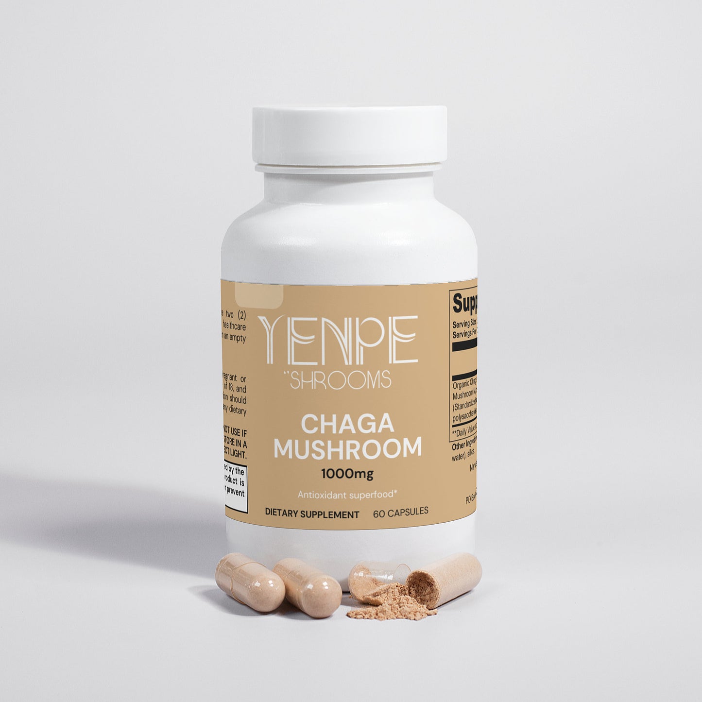 Chaga Mushroom