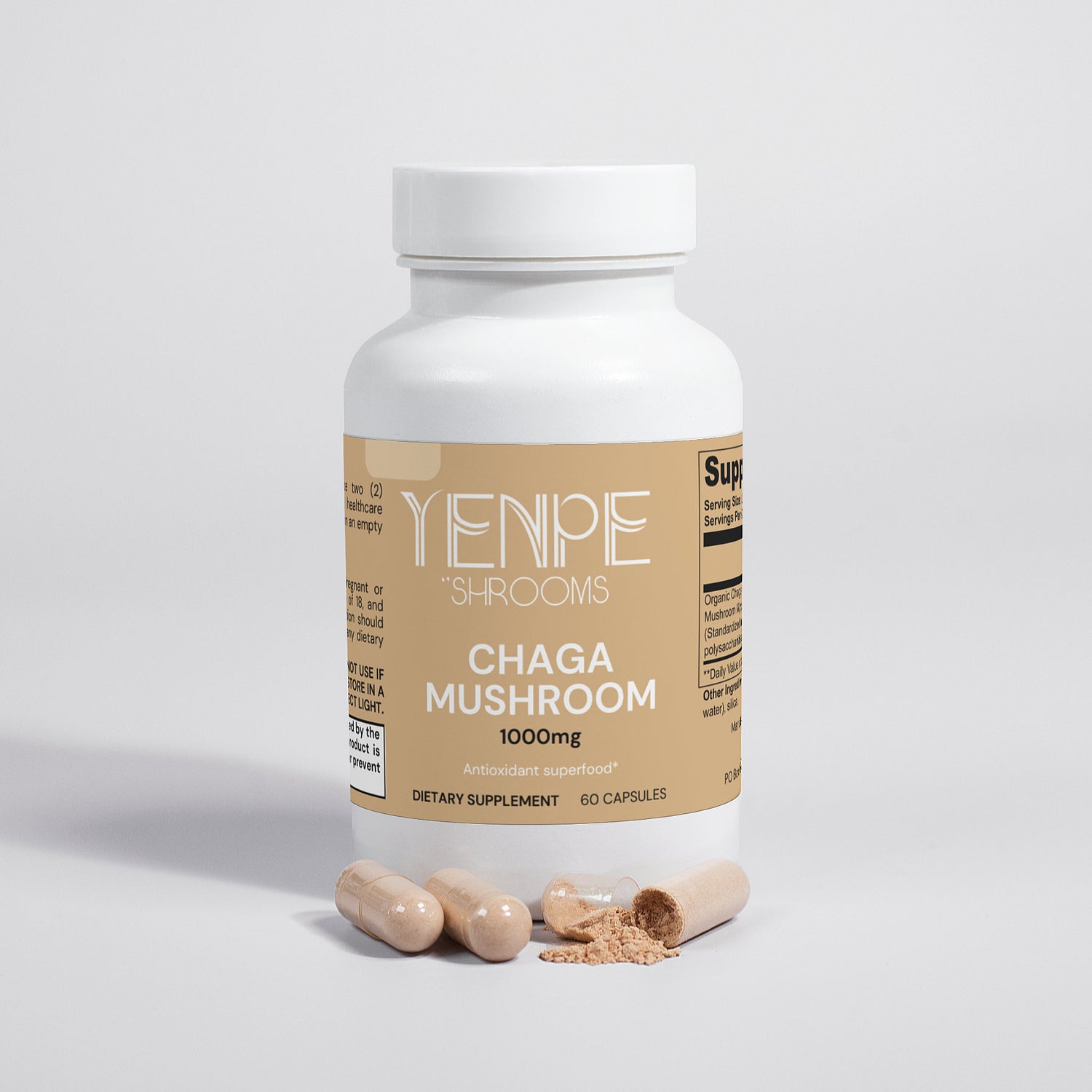 Chaga Mushroom