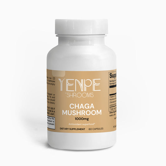 Chaga Mushroom